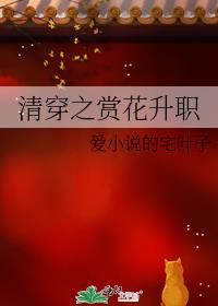 清穿之赏花升职免费阅读