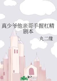 真少爷他亲哥手握杠精剧本免费