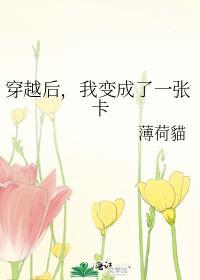 我变成了一张卡TXT