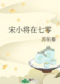 宋小将在七零红甘泉