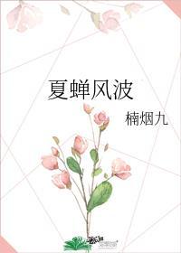 夏蝉风波 楠烟九