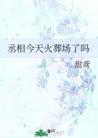 首辅今天火葬场了吗by甜鸢
