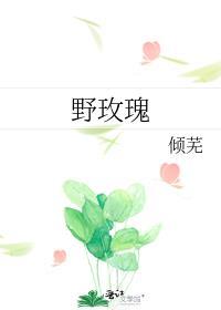 野玫瑰在线阅读