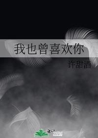 我也曾喜欢你许甜酒结局是什么