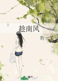 趁南风免费阅读