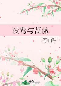 夜莺与玫瑰是什么故事