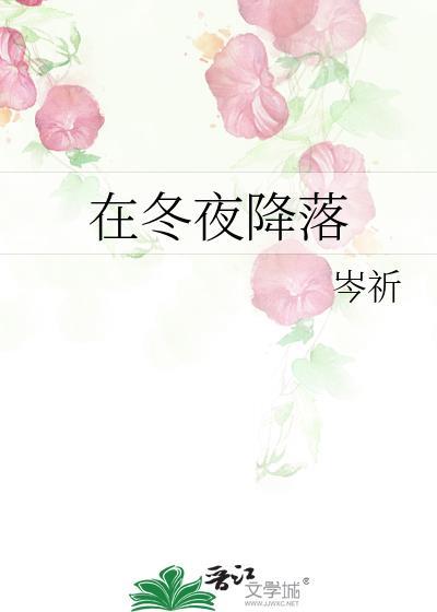 在冬夜降落番外