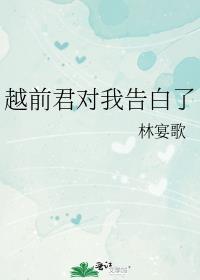 越前cp