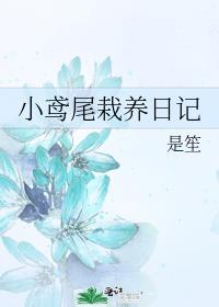 盆栽鸢尾种植技术