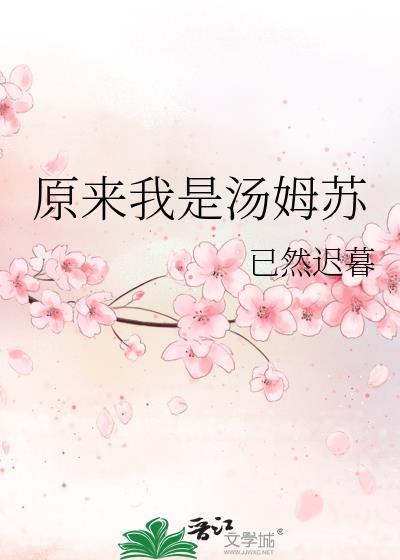 汤姆历险记原来如此