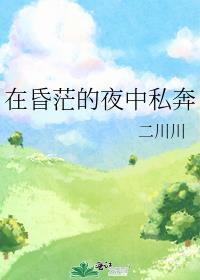 在昏茫的夜中私奔二川川附带番外