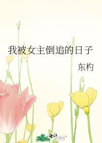 我被女主倒追的日子gl免费阅读TXT