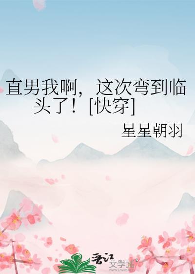 我直男系统