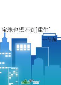 宝珠也想不到重生txt番外