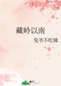 这是我见过