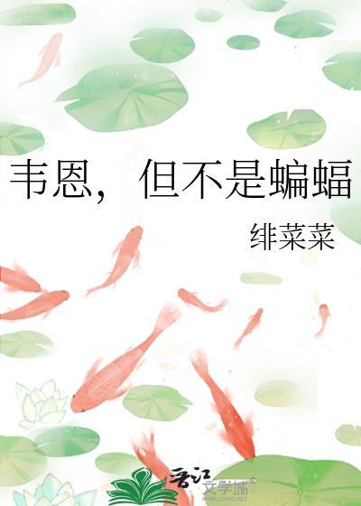 蝙蝠侠的韦恩集团是干什么的