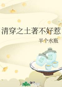 清穿之土著不好惹TXT