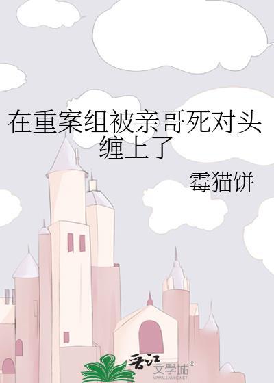 我在重案队的故事免费阅读