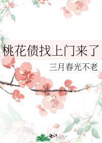 桃花债文