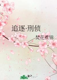 追凶刑侦全