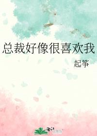 总裁好好看