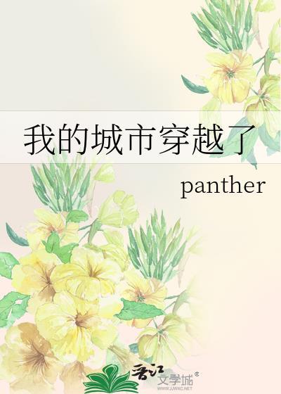 我的城市穿越了pan