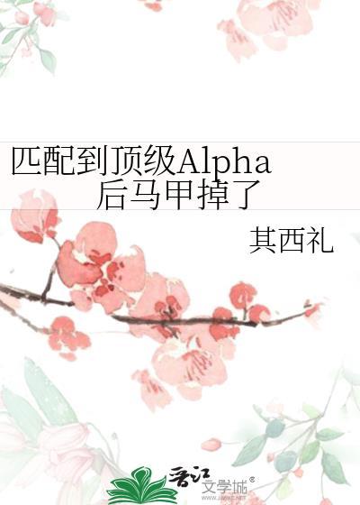 匹配到顶级Alpha后马甲掉了谁是攻