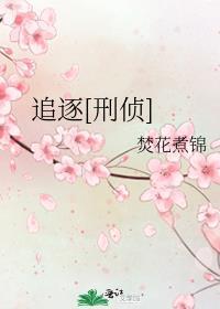 追逐电影