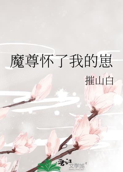 每经独家专访叶飞