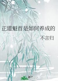正道魁首是如何养成的灵希