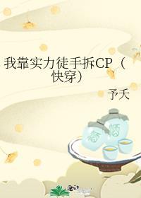 我靠实力混官场