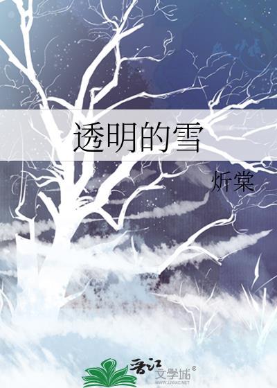 透明的雪 笔趣阁