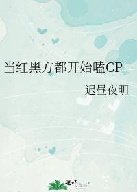 炮灰女什么意思