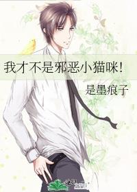 我才不是邪恶小猫咪晋江