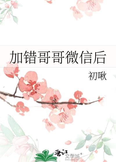 加错哥哥微信后txt百度