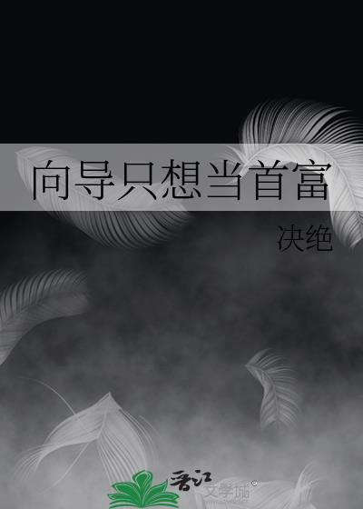 向导只想当首富TXT电子书