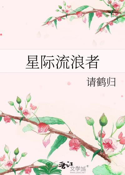 星际流浪者就成为陨石