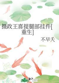 摄政王的书