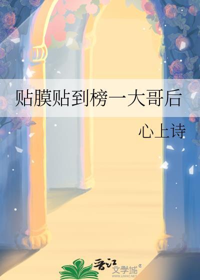 贴膜高手