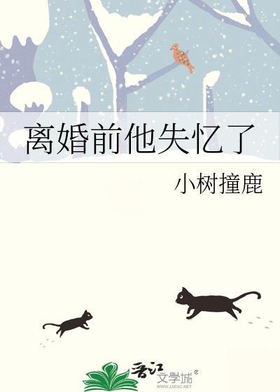离婚前他失忆了全文