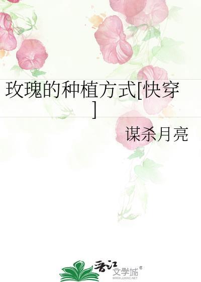 玫瑰种植知识