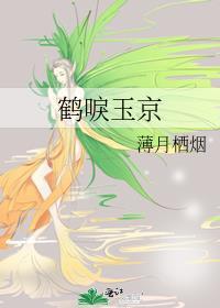 鹤唳玉京完整版免费阅读