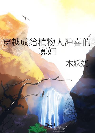 穿越成给植物人冲喜的寡妇木妖娆笔趣阁