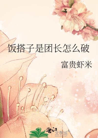 饭团长什么样子