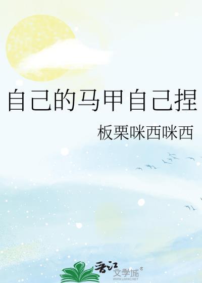 自制马甲教程