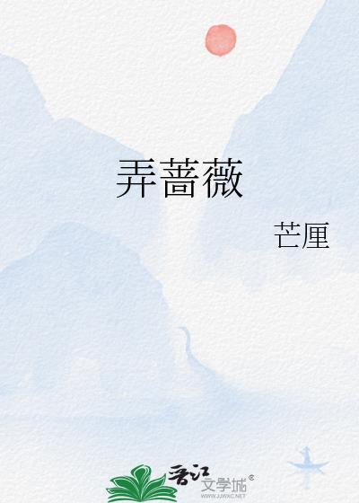 弄蔷薇by芒厘晋江番外