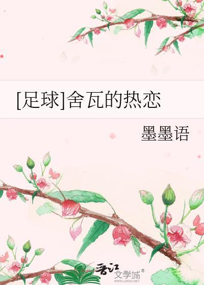 舍瓦进球集锦