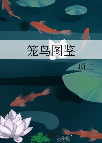 笼鸟图鉴 在线阅读