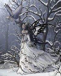 藏雪参的功效与作用