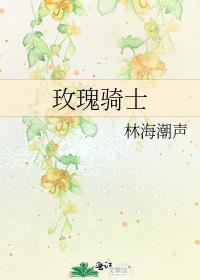 玫瑰骑士出装